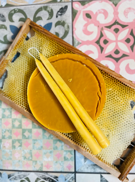 Standard Taper Beeswax Candle Pair - Artisan Hand Dipped - 22cm